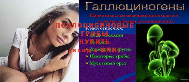 Псилоцибиновые грибы прущие грибы Сыктывкар